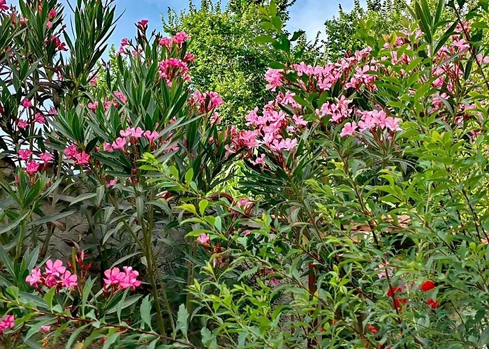 Allin Appartement Mantouki