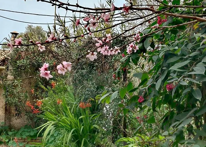 Allin Appartement Mantouki