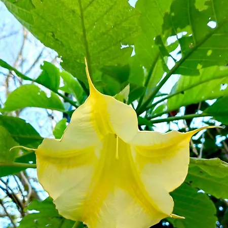 Lejlighed Allin Mantouki