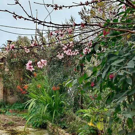 Allin Lejlighed Mantouki