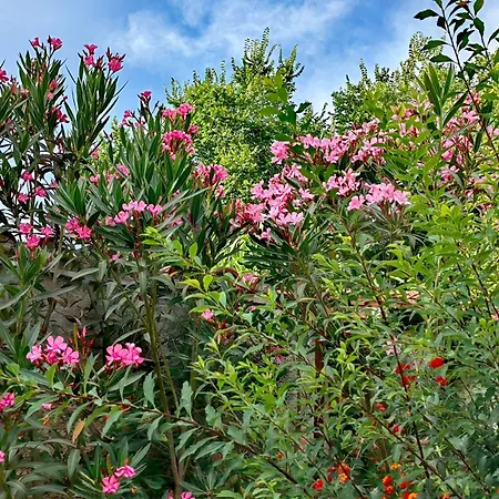 Allin Apartment Mantouki