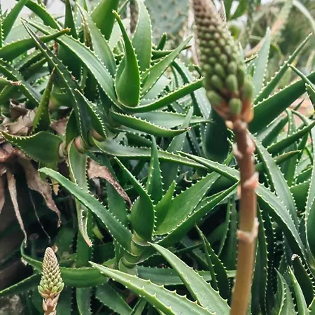 Apartamento Allin Mantouki