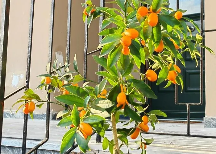 Allin